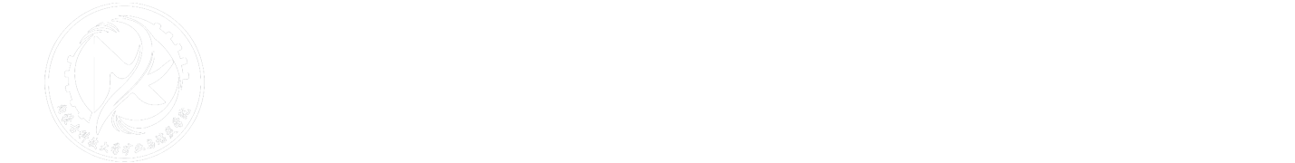 国际足联世界杯